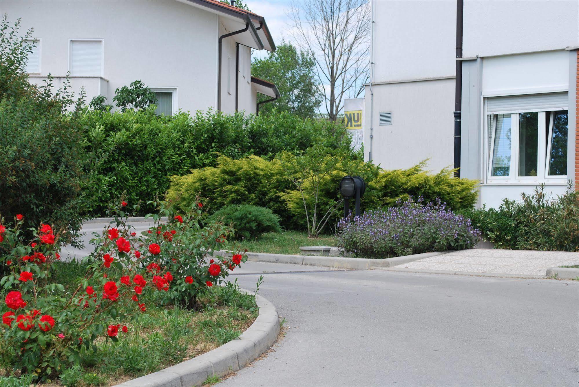 新戈里察盖尔尼布科维卡旅馆住宿加早餐旅馆 外观 照片